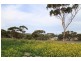 Lot 18B King George Street, Mannum SA 5238
