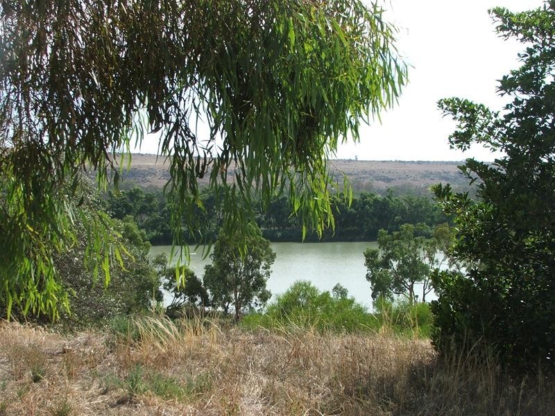 Lot 12 Gowling Court, Younghusband SA 5238