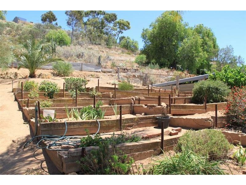 67 Purnong Road, Mannum SA 5238