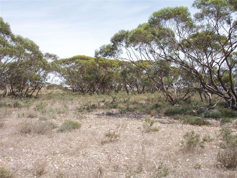 Lot 71  Cockshell Road, Bowhill SA 5238