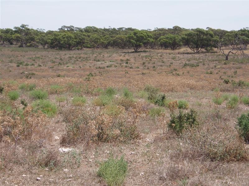 Lot 71  Cockshell Road, Bowhill SA 5238