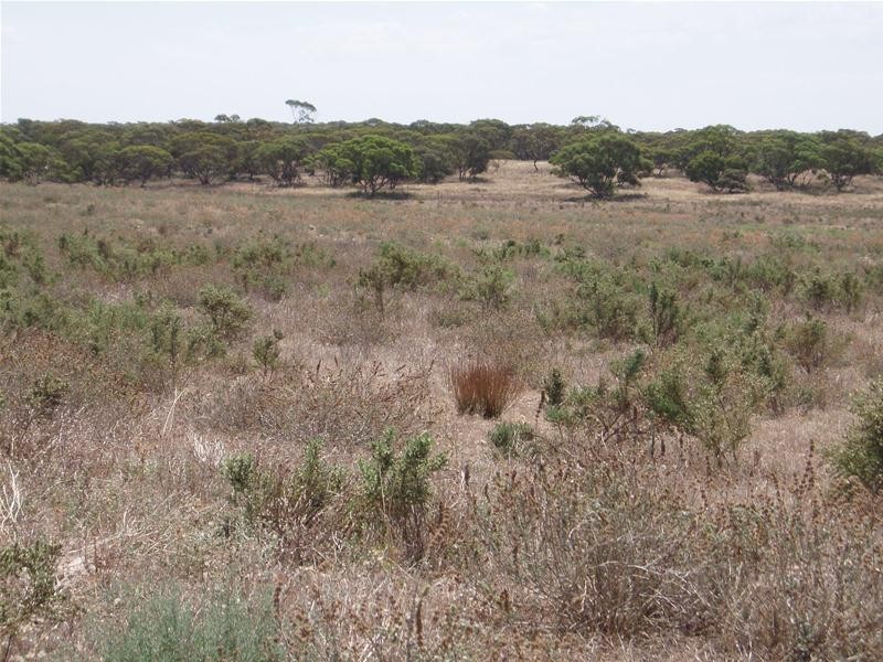 Lot 71  Cockshell Road, Bowhill SA 5238