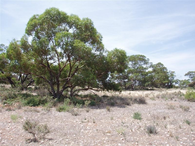 Lot 71  Cockshell Road, Bowhill SA 5238