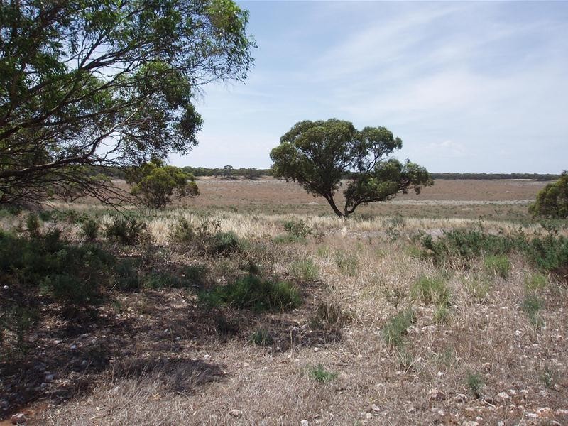 Lot 71  Cockshell Road, Bowhill SA 5238