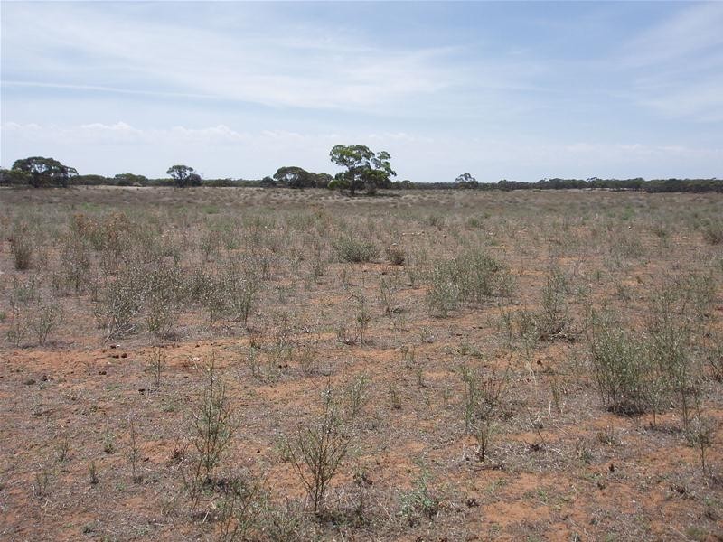 Lot 71  Cockshell Road, Bowhill SA 5238