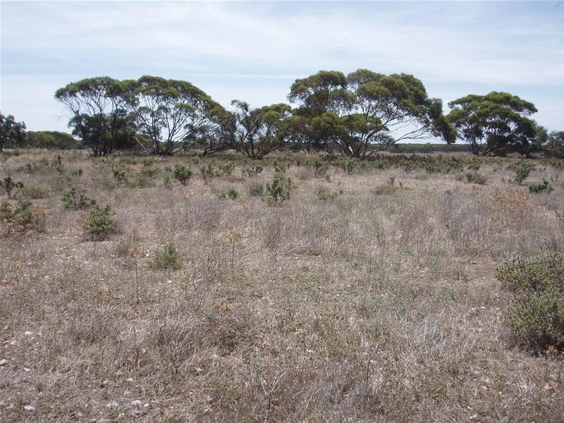 Lot 71  Cockshell Road, Bowhill SA 5238