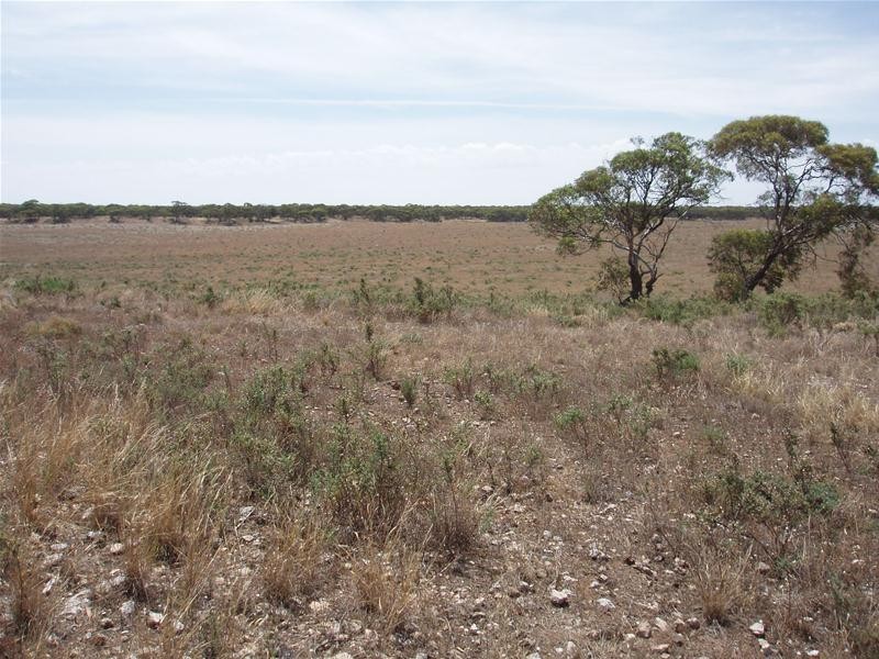 Lot 71  Cockshell Road, Bowhill SA 5238