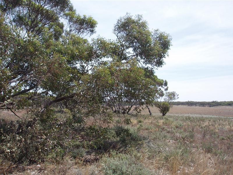 Lot 71  Cockshell Road, Bowhill SA 5238