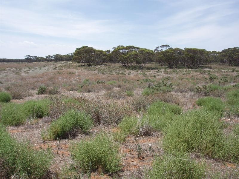 Lot 71  Cockshell Road, Bowhill SA 5238