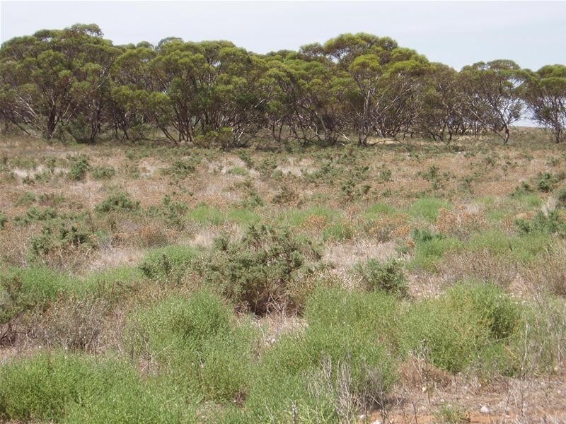 Lot 71  Cockshell Road, Bowhill SA 5238