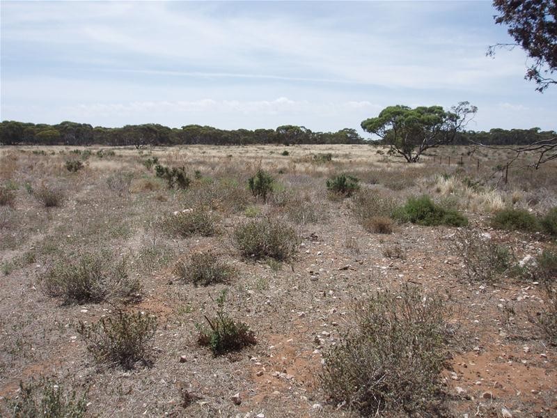 Lot 71  Cockshell Road, Bowhill SA 5238