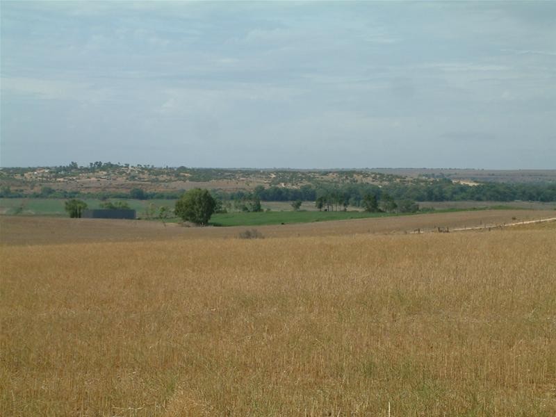 903 Warnes Road, Mannum SA 5238