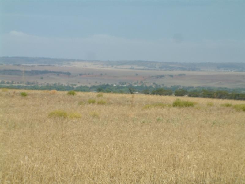 903 Warnes Road, Mannum SA 5238