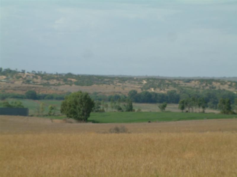 903 Warnes Road, Mannum SA 5238