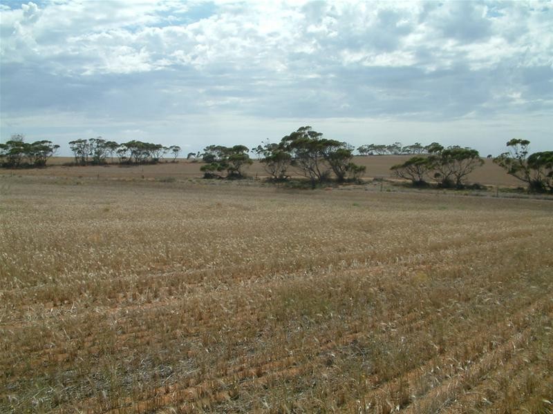 903 Warnes Road, Mannum SA 5238