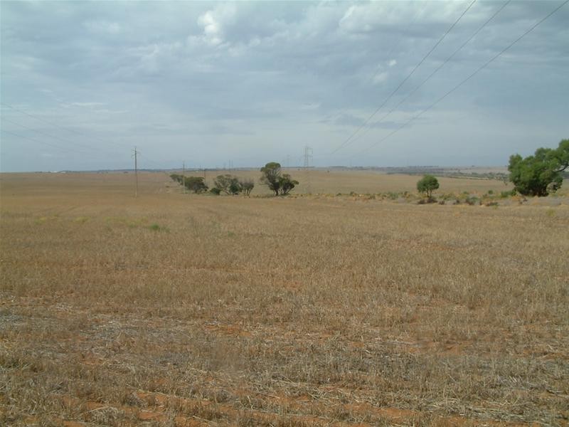 903 Warnes Road, Mannum SA 5238