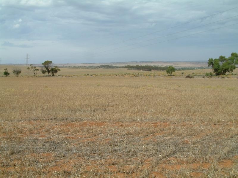 903 Warnes Road, Mannum SA 5238