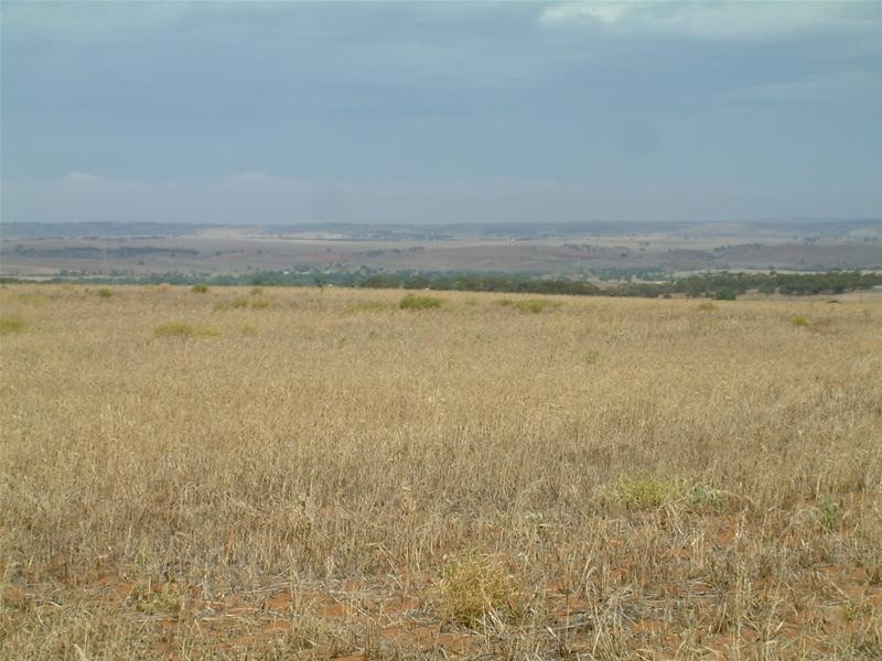 903 Warnes Road, Mannum SA 5238