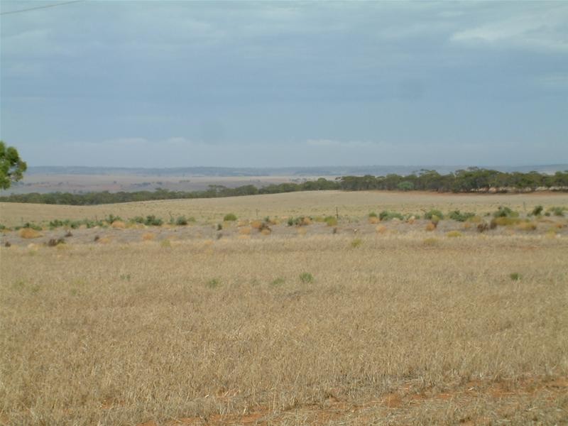 903 Warnes Road, Mannum SA 5238