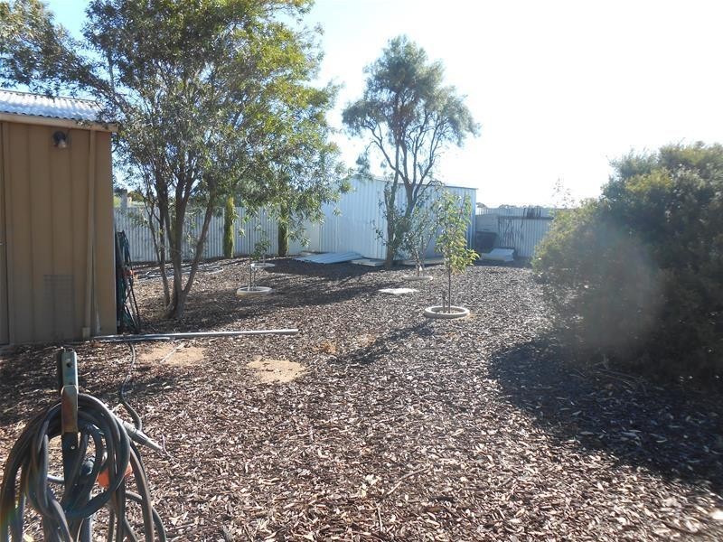 63 Crawford Crescent, Mannum SA 5238