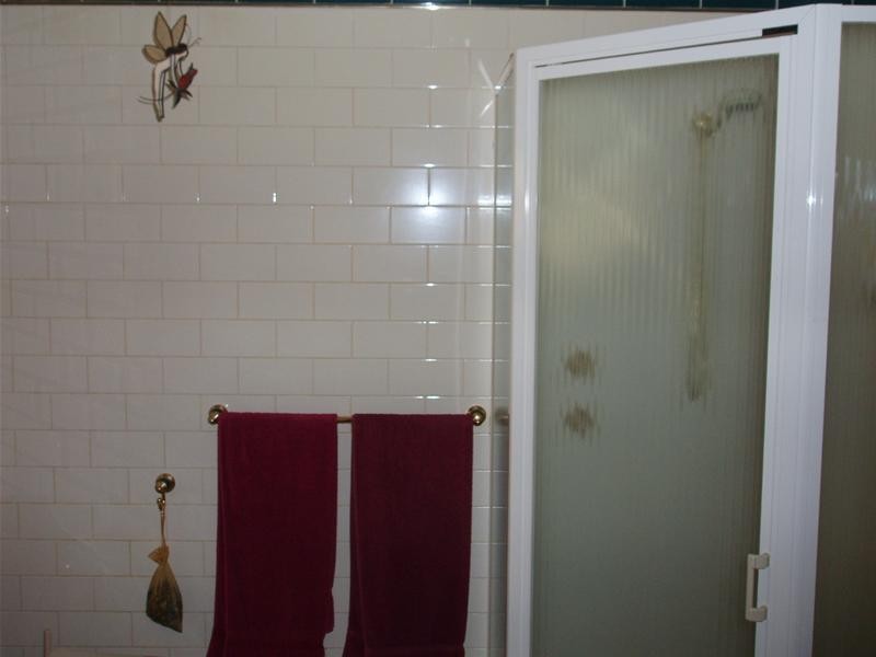 43 Randell Street, Mannum SA 5238