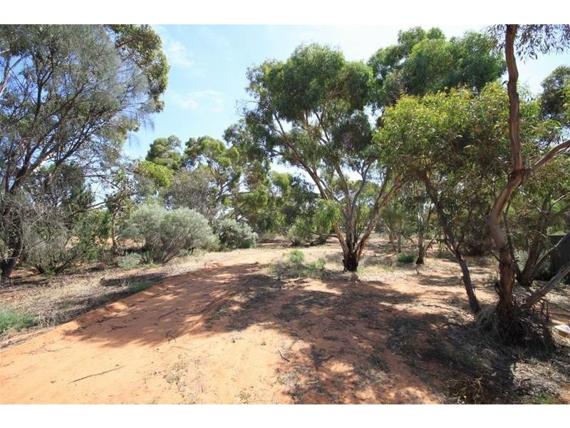 2820 Randell Road, Mannum SA 5238