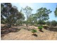 2820 Randell Road, Mannum SA 5238