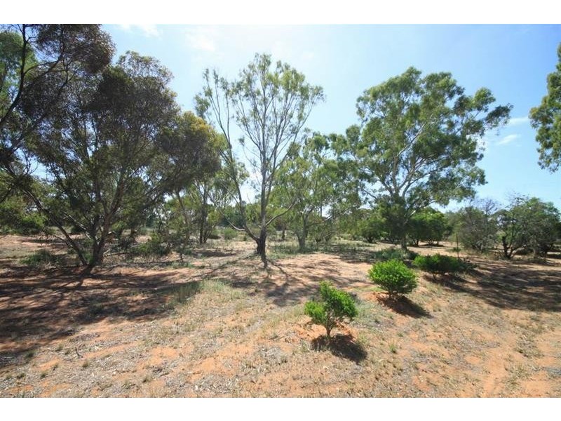 2820 Randell Road, Mannum SA 5238