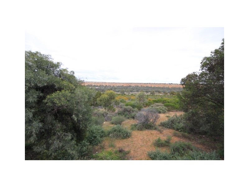 69 Post Office Road DEVON DOWNS near, Swan Reach SA 5354