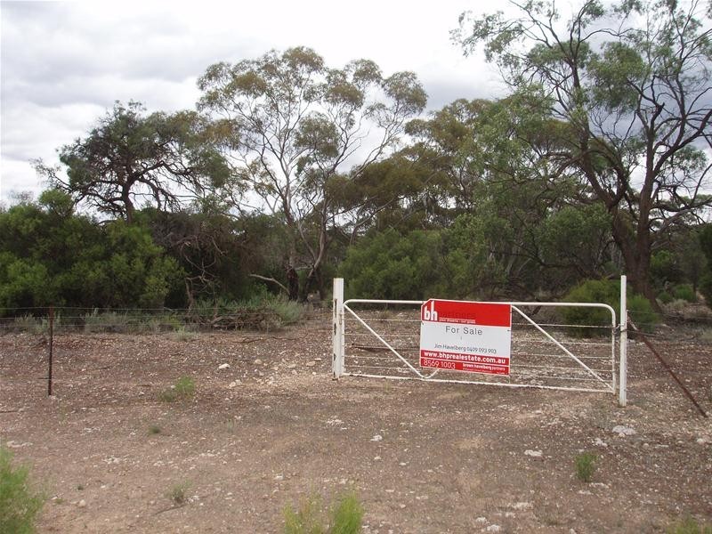 Section 89 Yookamurra Road, Swan Reach SA 5354