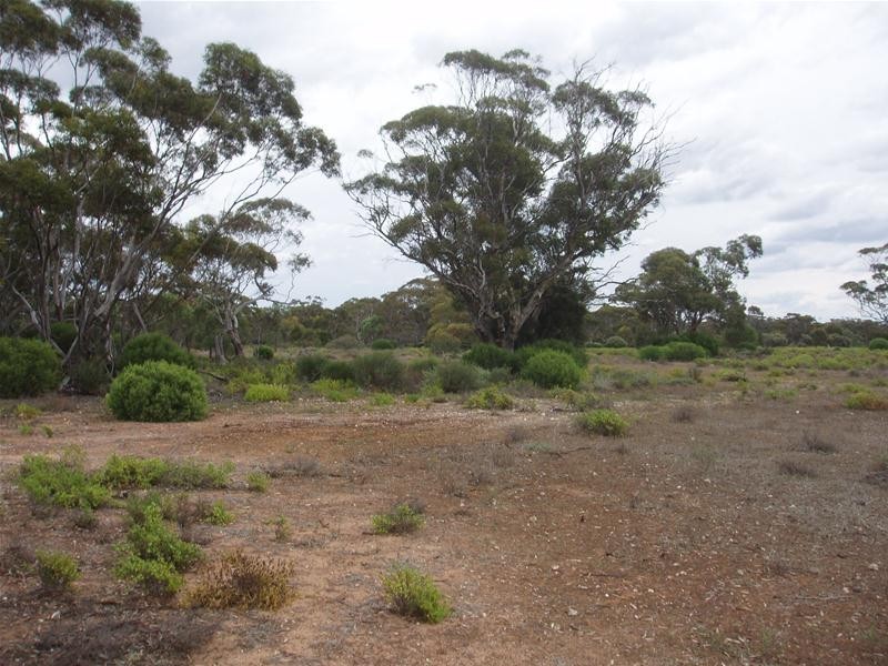 Section 89 Yookamurra Road, Swan Reach SA 5354