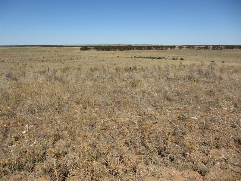 1665 Hunter Road, Swan Reach SA 5354