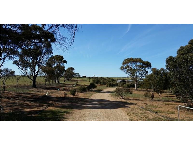 29 Dollard Avenue, Mannum SA 5238