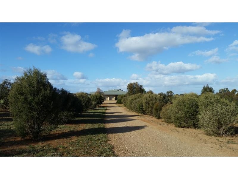 29 Dollard Avenue, Mannum SA 5238