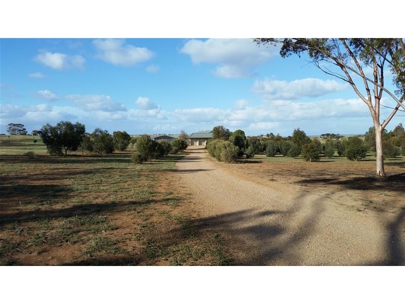 29 Dollard Avenue, Mannum SA 5238