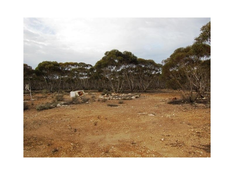 Section 187S Swan Reach Road, Sedan SA 5353