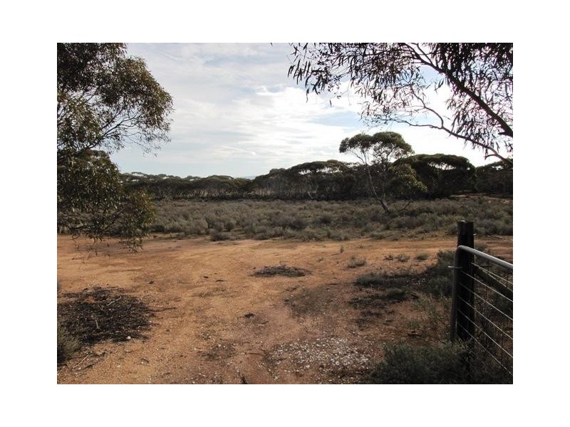Section 187S Swan Reach Road, Sedan SA 5353