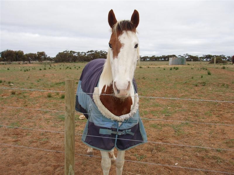 22 Redbank Road, Cambrai SA 5353