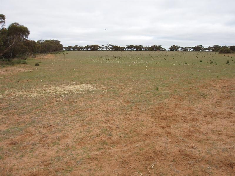 22 Redbank Road, Cambrai SA 5353