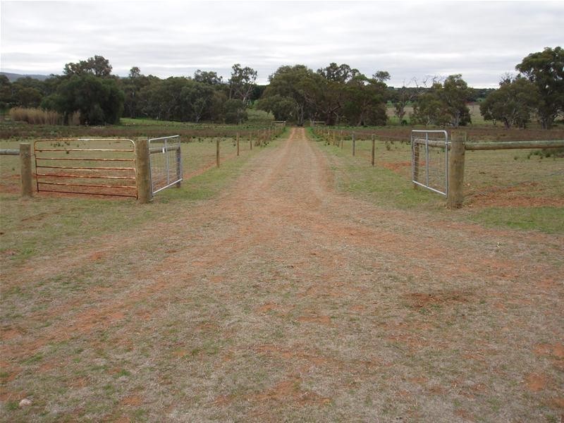 22 Redbank Road, Cambrai SA 5353