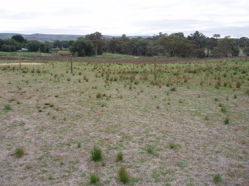 22 Redbank Road, Cambrai SA 5353