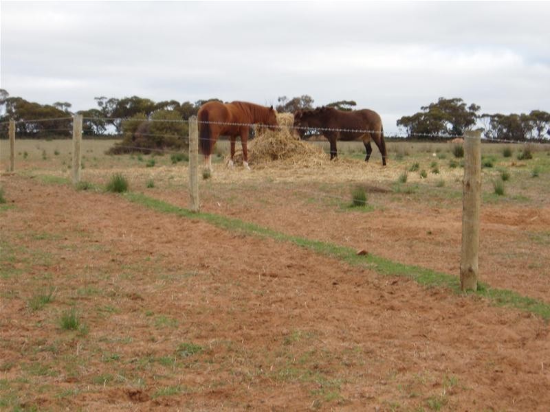 22 Redbank Road, Cambrai SA 5353