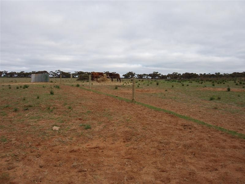 22 Redbank Road, Cambrai SA 5353