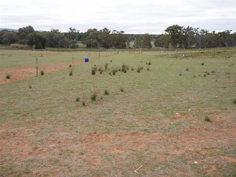 22 Redbank Road, Cambrai SA 5353