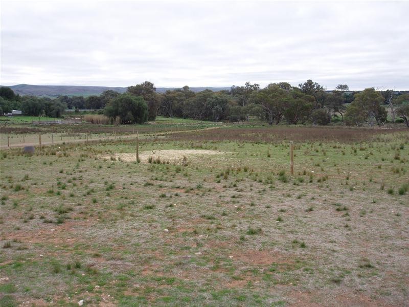 22 Redbank Road, Cambrai SA 5353