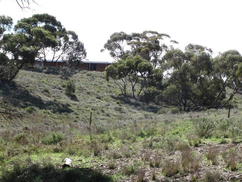 72 Rochow Road, Black Hill SA 5353