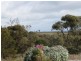 72 Rochow Road, Black Hill SA 5353