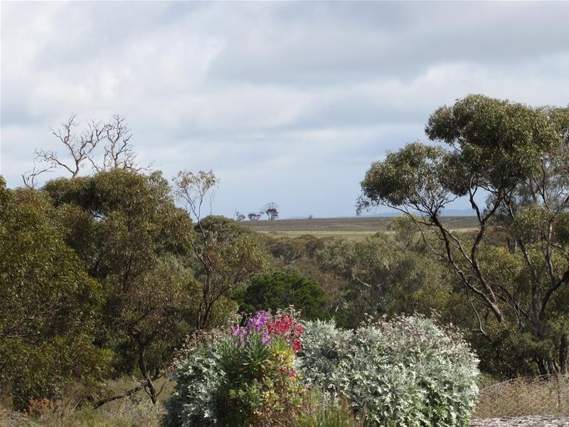 72 Rochow Road, Black Hill SA 5353