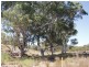 72 Rochow Road, Black Hill SA 5353