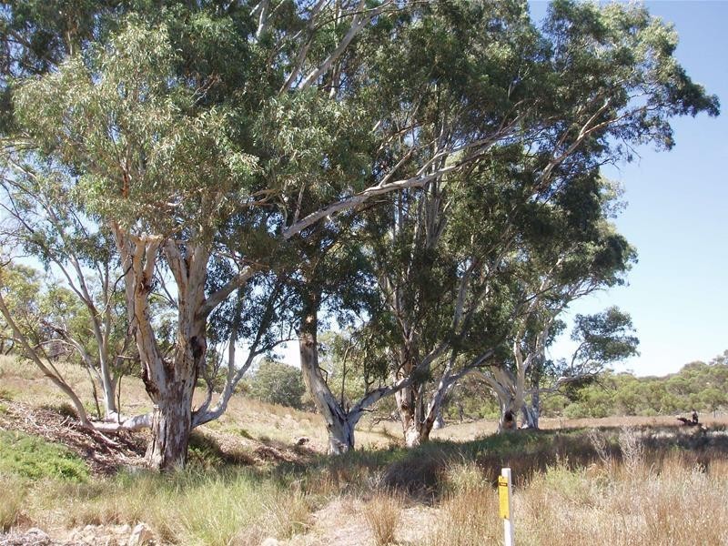 72 Rochow Road, Black Hill SA 5353